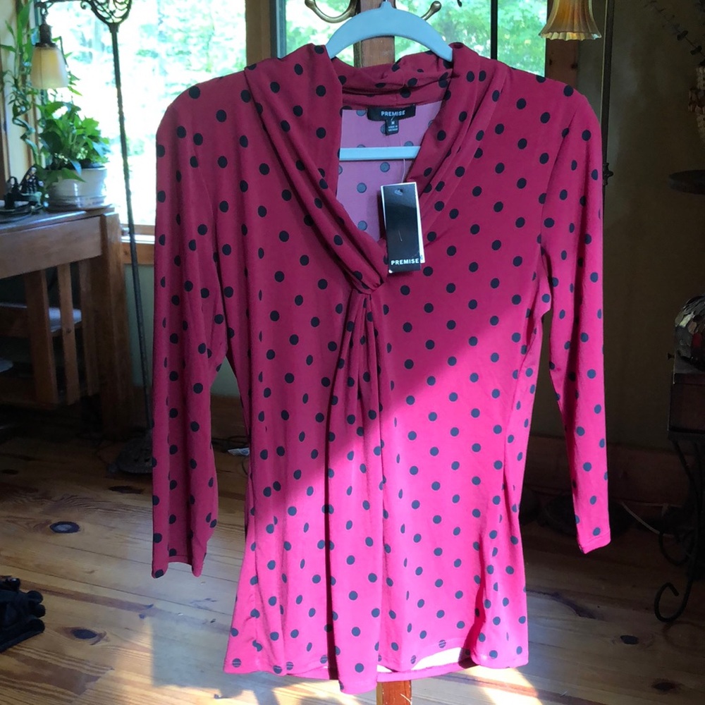 Set of 2 red and blue polka dot Premise blouses